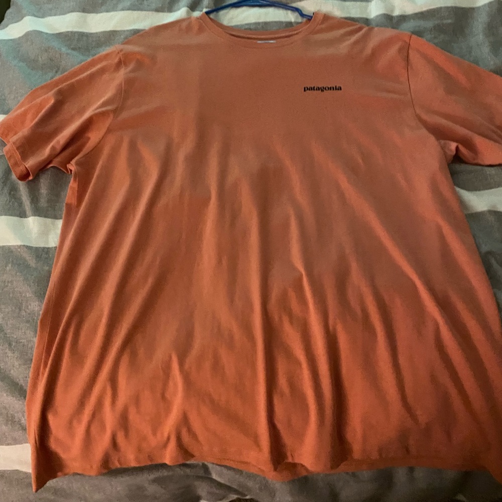 Patagonia tee